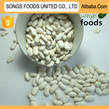 White Kidney Beans Crop Tops New Crop