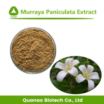 Murraya Paniculata Extract 100% Natural Powder 10:1