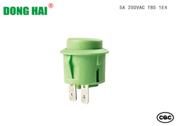 Green Push Button Switch 6A 10A