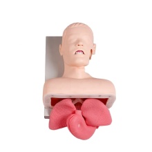 DARHMMY Advanced Tracheal Intubation Manikin for Medical Training