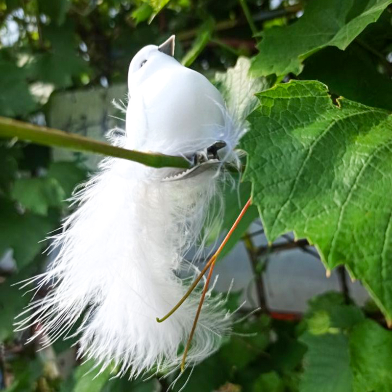 Vogeldekoration Hochzeit