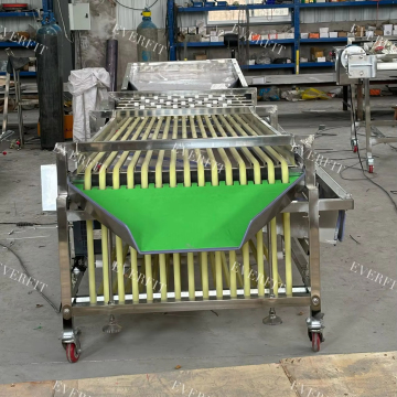 220V Fruit Dates Grading and Sorting Machine