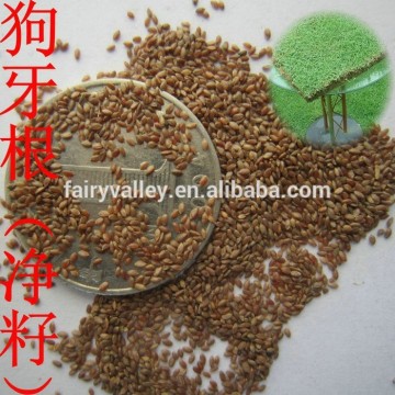 2014 New High Quality Grass Seeds Bermuda Grass Seeds For Sale