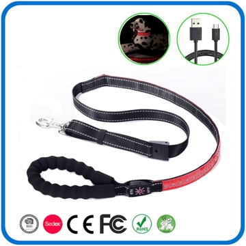 Best Led Long Lead Leashes For Dogs