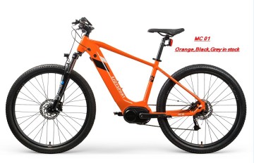 Customized Lightweight Electric Bike