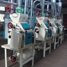 Flour Process Machine (6FST)