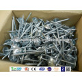 Common Nail (polished or galvanized)