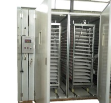 Hotsale Incubator 5280 Chicken Eggs Incubator Hatching Machine Automatic Digital Egg Incubator