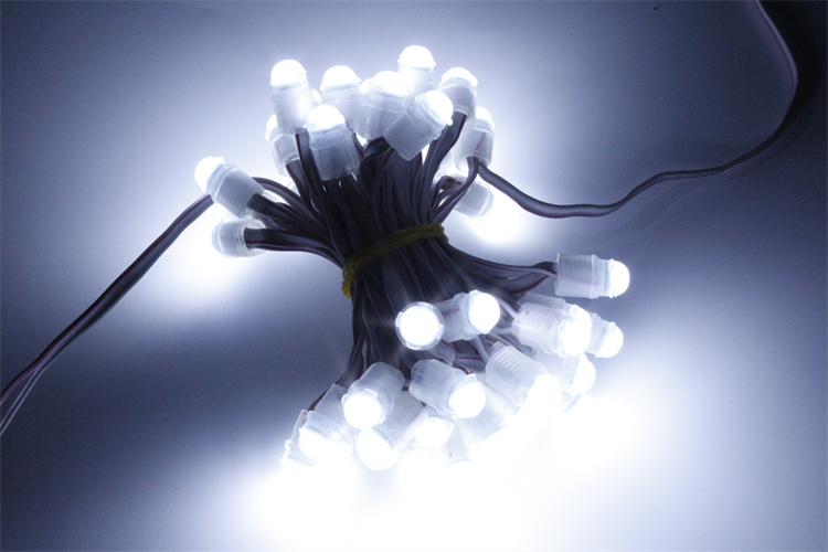 Miracle Bean holiday decoration lights outdoor IP67 12V warm white led pixel smd5050  2P wires led pixel string bulb light