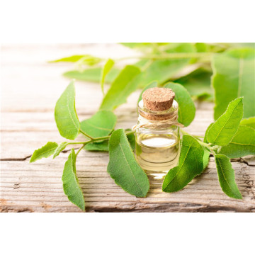 Therapeutic Grade Eucalyptus Globulus Essential Oil