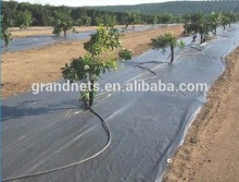 anti weed mat\/weed control ground cover, ground cover supplier, pp woven camping mat
