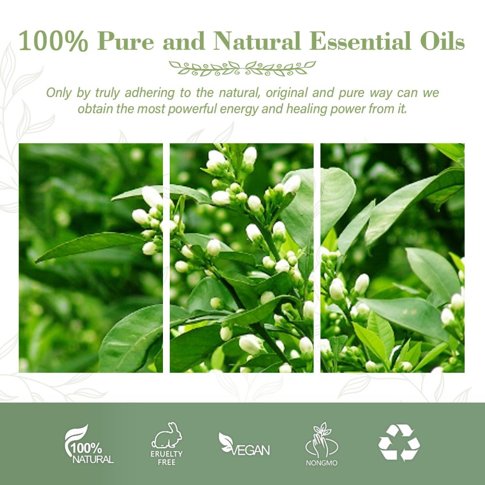 Óleo essencial puro e orgânico petitgrain óleo para aromaterapia com difusor