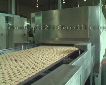 Biscuit gas oven
