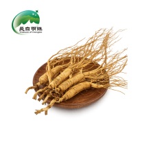 Wild-simulated ginseng for sale