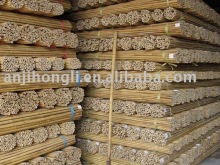 Tonkin bamboo cane (HL-TBC-15)