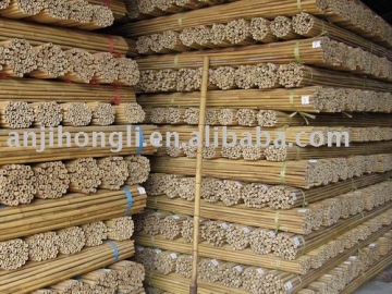 Tonkin bamboo cane (HL-TBC-15)