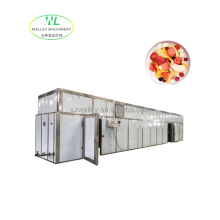 Hotsale Vegetable and Fruit Hot Air Drying Room: Tunnel Dryer for Prunes and Plums