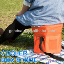 Fashion&lovely!Foldable Non-woven&aluminium foil cooler box,storage stool.ottoman box GSAJ006