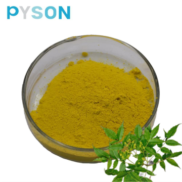 Phellodendron chinense Schneid extract powder