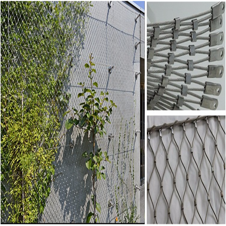 1.5mm Thick Wire Rope Net 304l Stainless Steel Plant Climbing Wall For Garden
