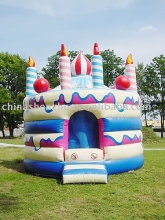 pvc castle