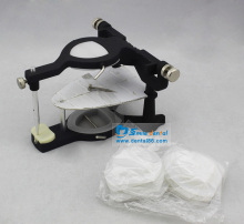 Anatomic Articulator for Dental Use