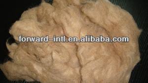 Combed camel hair camel wool