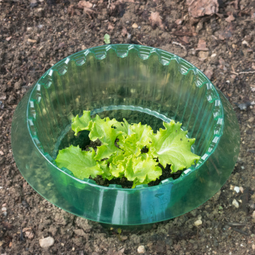 Slug fence, slug ring, slug protection