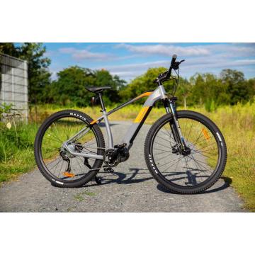 Hermess 36V/13Ah premium electric bike 29 inch/full suspension electric mountain bike