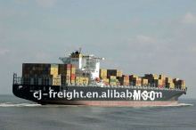 ocean freight forworld company in shenzhen shanghai xiamen guangzhou china- Stella