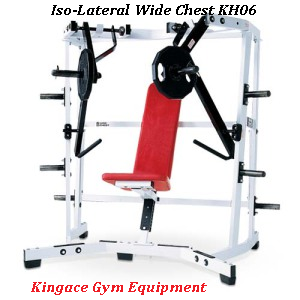 Plate Loaded Hammer Strength Iso-Lateral Rowing Machine