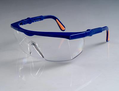 Adjustable Safety Glasses (9977)