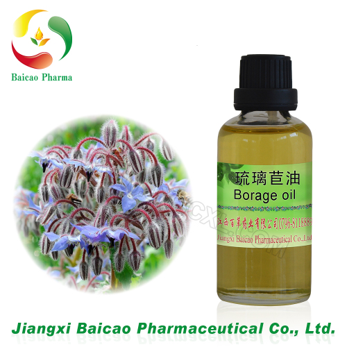 hot sale refined borage extract borage seed oil