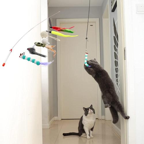 Cat Toys Kitten Toys Jump esercizio giocattolo interattivo