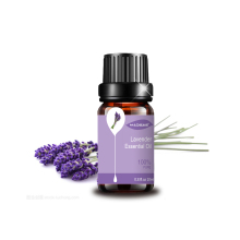 ISO and GMP Factory Wholesale 10ml Lavender Essential Oil with Private Logo Aromatherapy Lavender Oil for Candles and Soaps