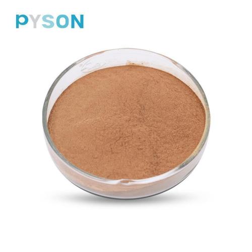 Prix ​​d&#39;usine 100% poudre de feuille de Ginkgo Biloba naturel