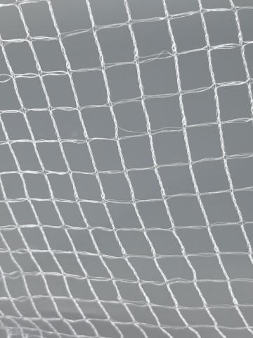 PE various agricultural anti bird netting for garden