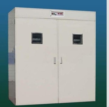incubator for eggs