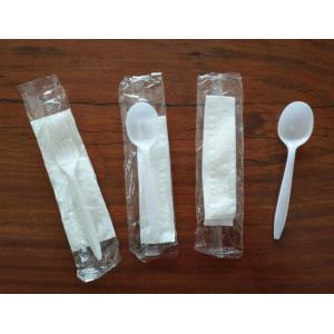 Disposable Plastic Spoon Set