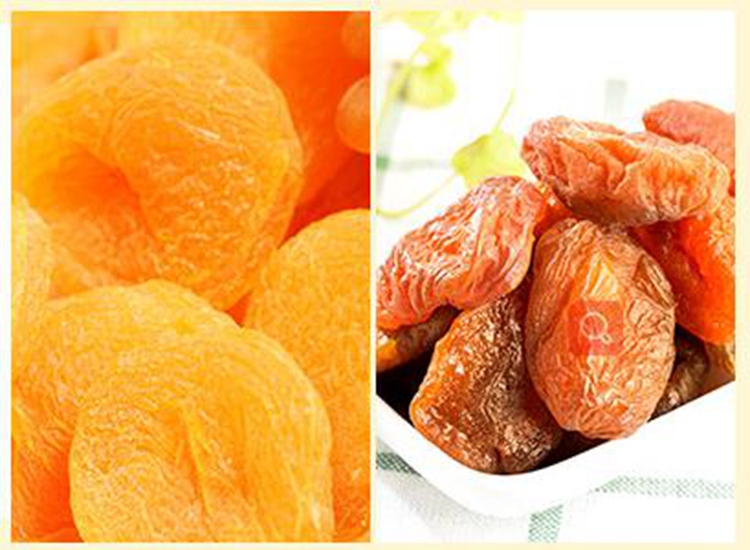 Uzbekistan natural and dried apricot fruit dry fruits