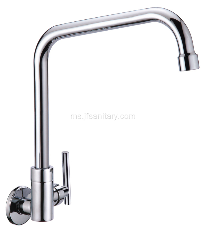 Wall Mount Single Cold Wall Faucet Swivel