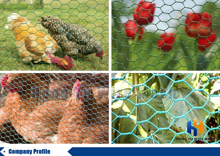 high quality factory gabions hexagonal wire mesh cages for sale