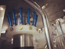 bird inside and outside in slaugtherhouse