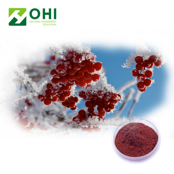 Cranberry Extract Anthocyanidin Powder