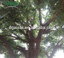 Artificial indoor banyan tree