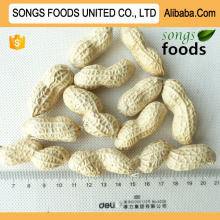 Best Groundnut Price In China