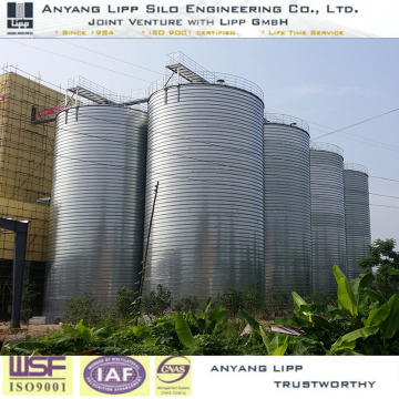 Feed mill project silo