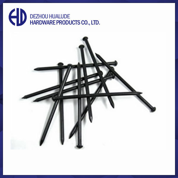 Galvanized/Bright Duplex Nail/Common Nail With Factory Price