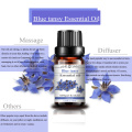 High Quality Blue Tansy Oil for Skin Care