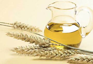 Wheat germ oil/Wheat germ essential oil